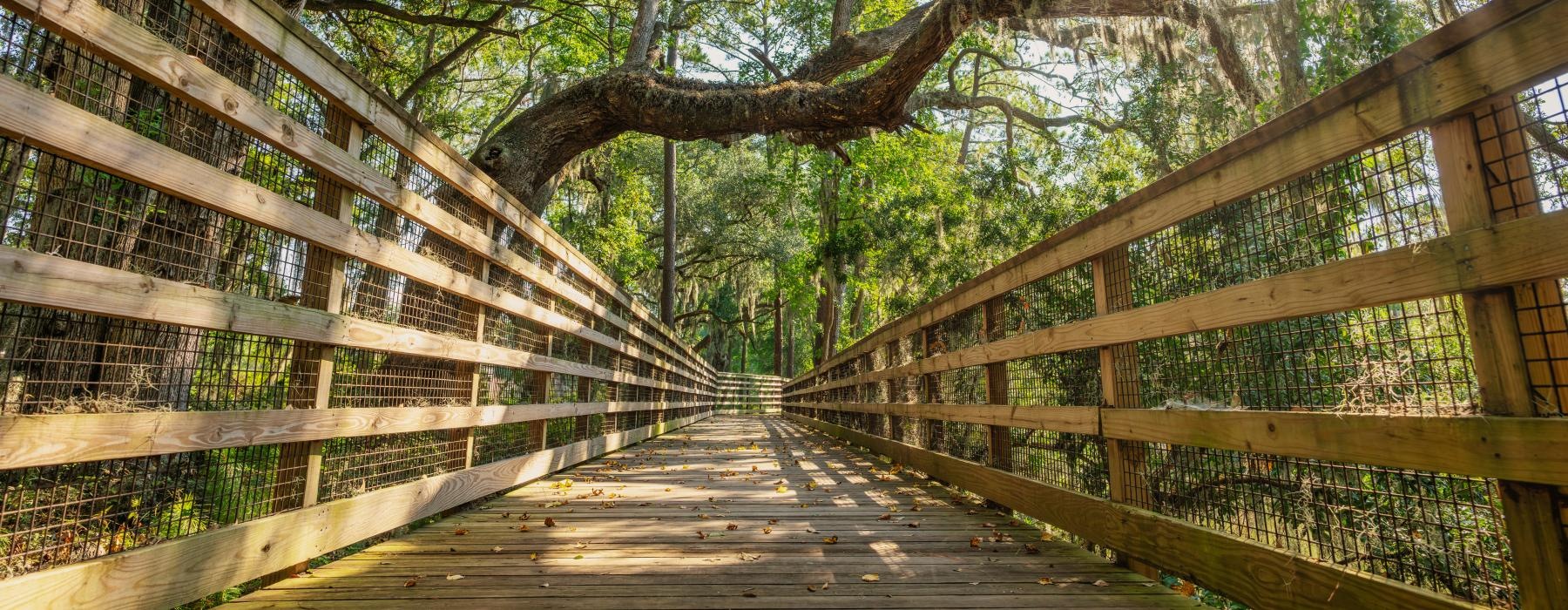 a wooden bridge with trees on the side